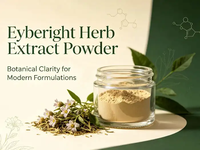 Eyebright Herb Extract vs Bilberry Extract for Eye Health